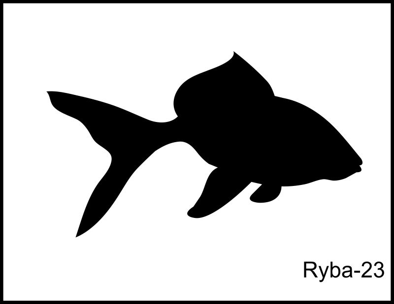 ryba 23